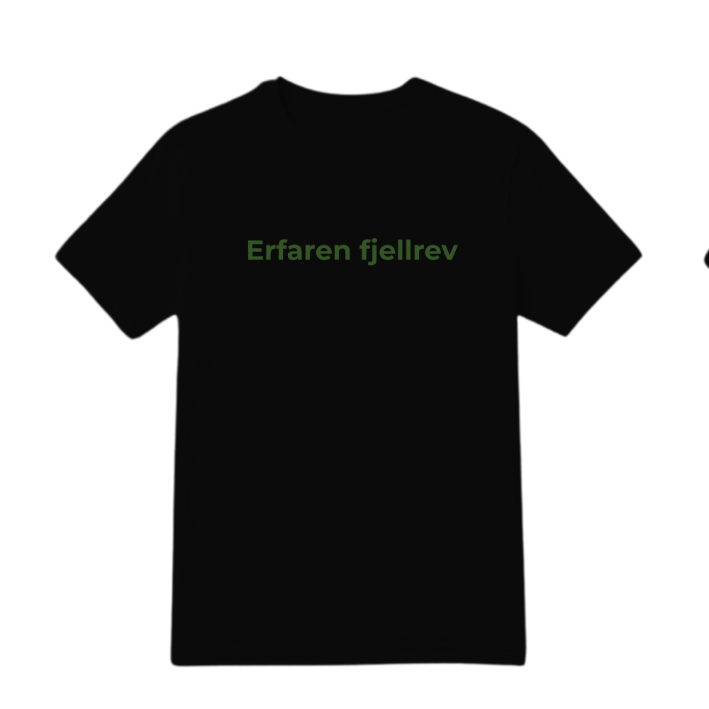 Erfaren fjellrev
