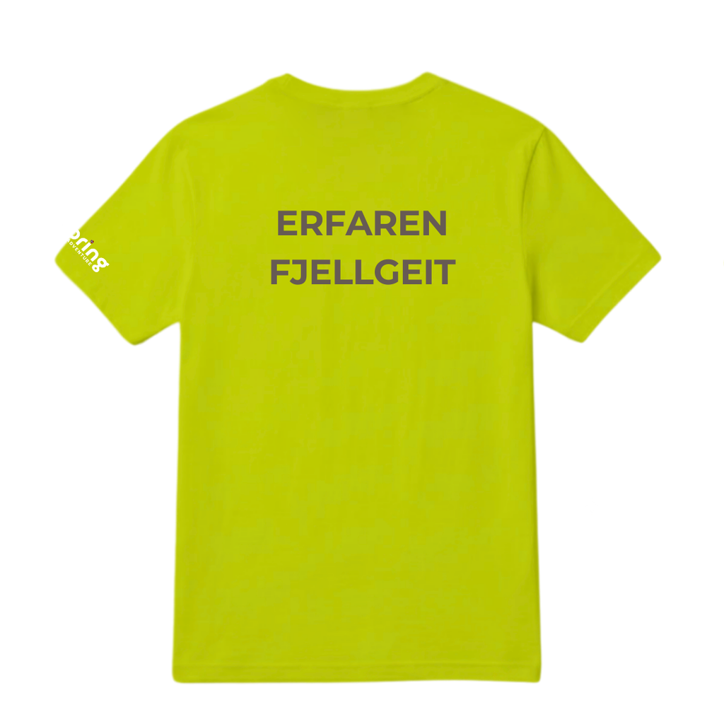 Erfaren fjellgeit