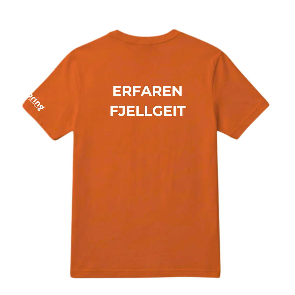 Erfaren fjellgeit